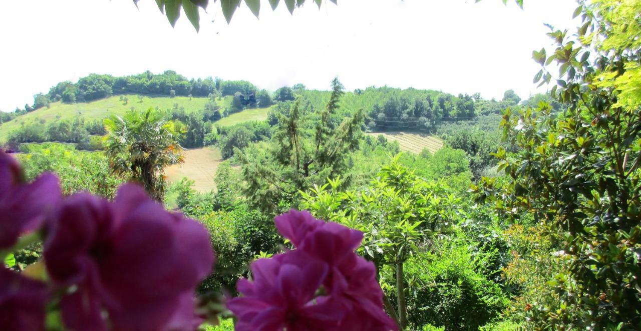 B&B Carboni Penna San Giovanni Zewnętrze zdjęcie