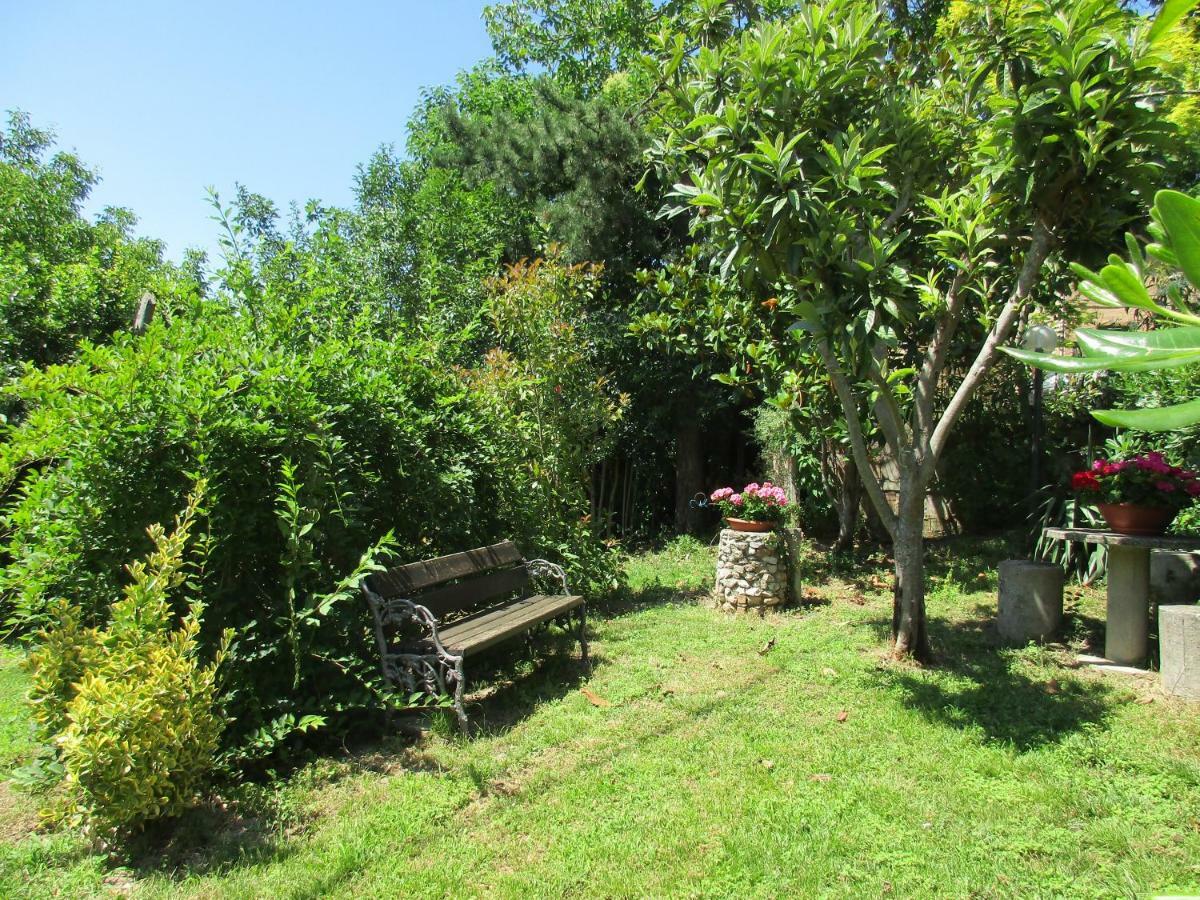B&B Carboni Penna San Giovanni Zewnętrze zdjęcie