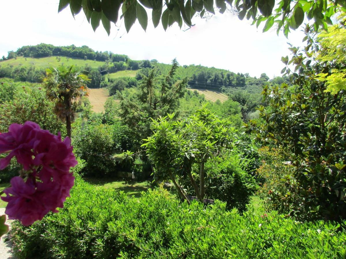 B&B Carboni Penna San Giovanni Zewnętrze zdjęcie