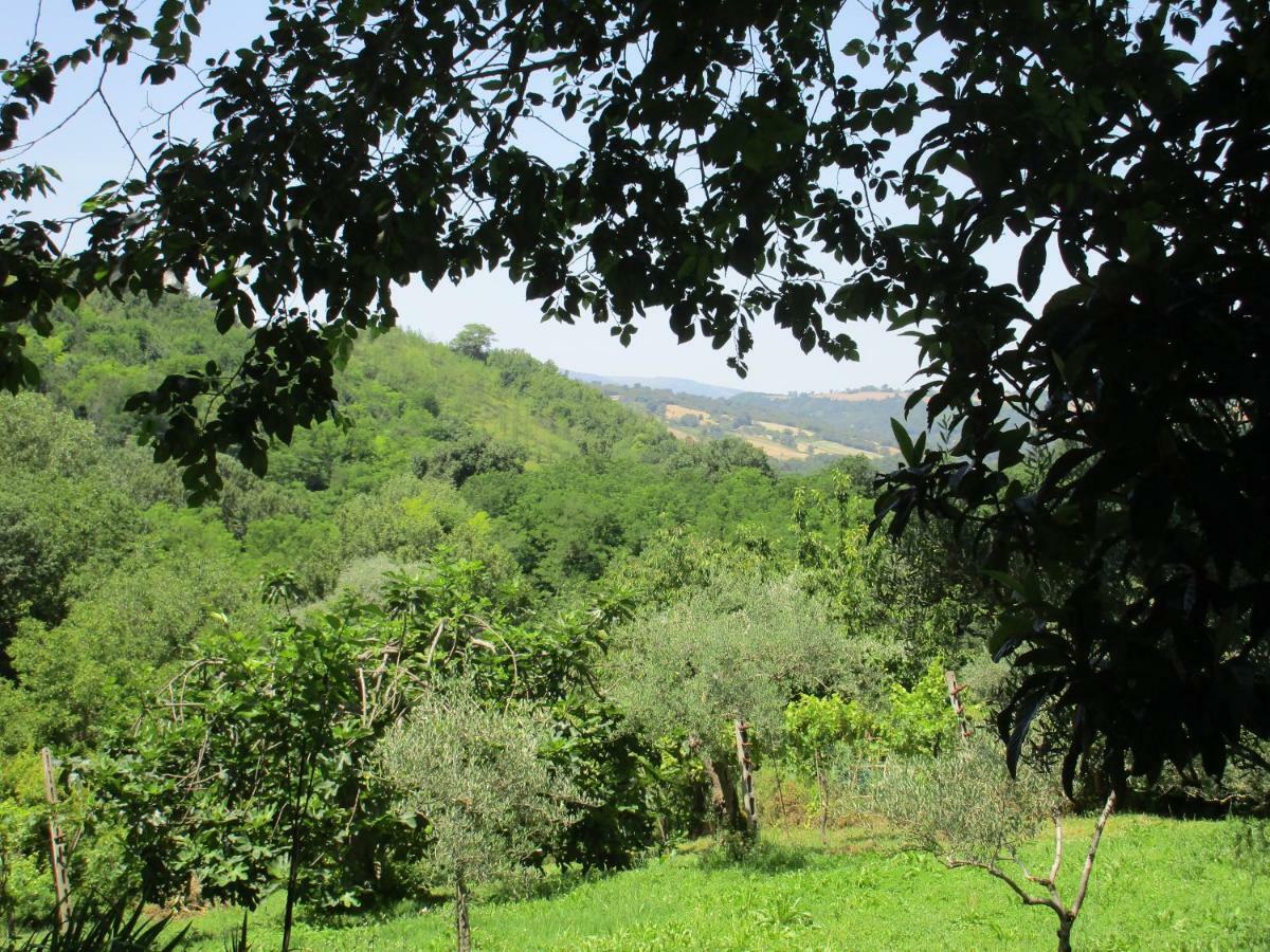 B&B Carboni Penna San Giovanni Zewnętrze zdjęcie