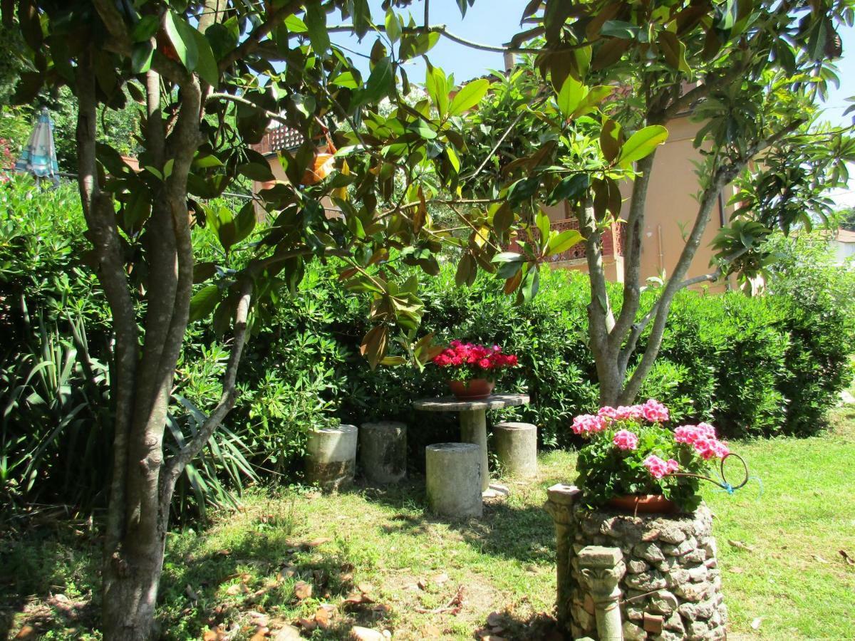 B&B Carboni Penna San Giovanni Zewnętrze zdjęcie